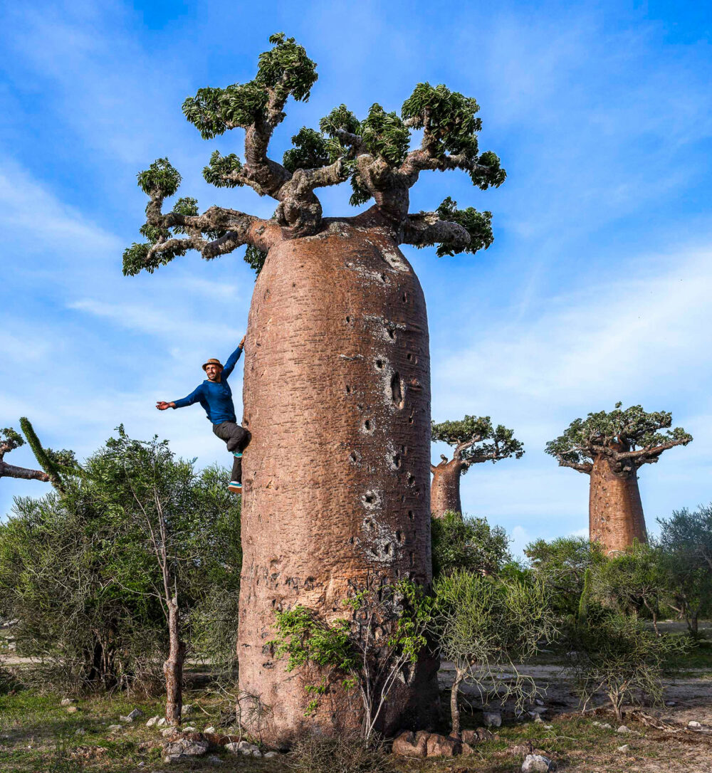 Coulisses-Echaroux-Mikea-Madagascar-7